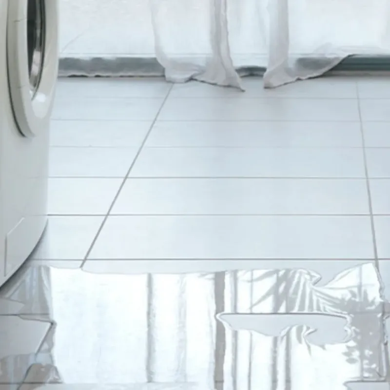 Appliance Leak Cleanup in Wrangell, AK