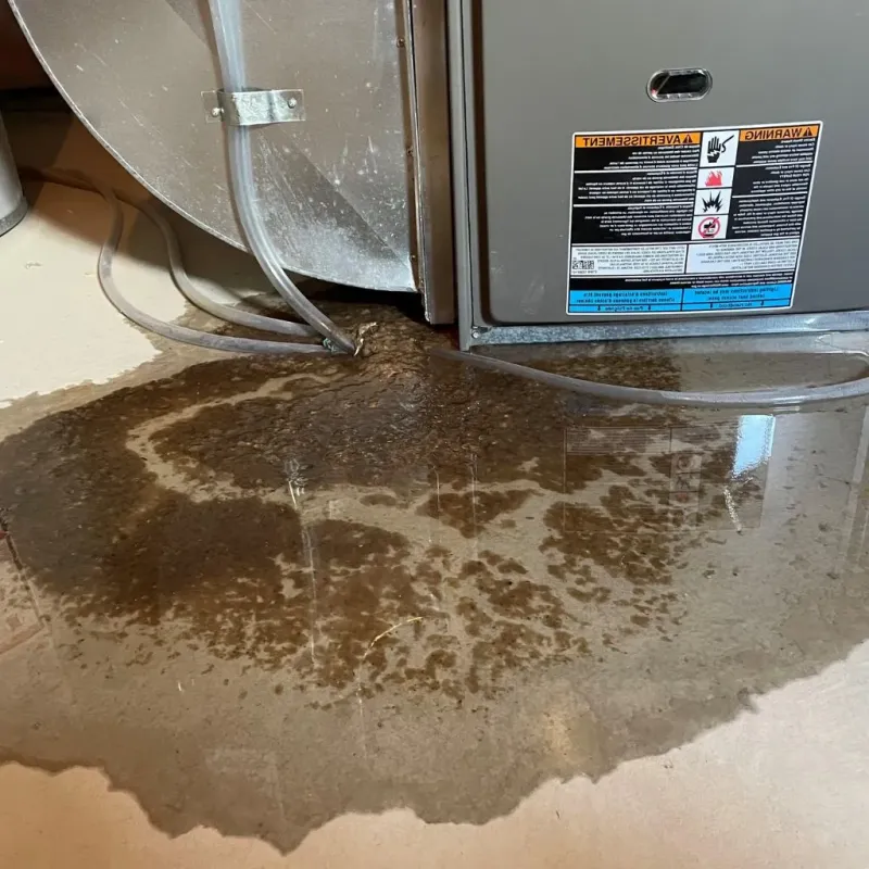 Pipe Burst and Leak Restoration in Wrangell, AK