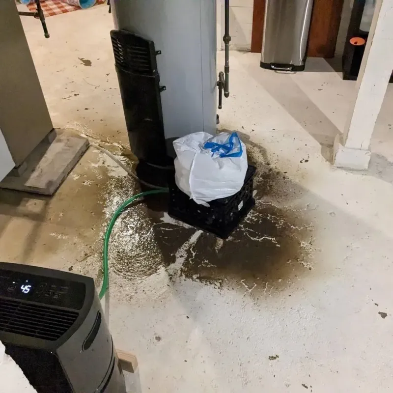 Sewage Backup Cleanup Service in Wrangell, AK